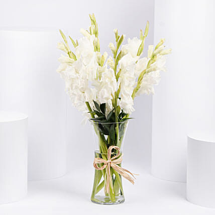 Blissful White Gladiolus Arrangement: 