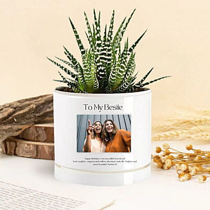 Blooming Friendship Echeveria Plant: Friendship Day Personalised Gifts