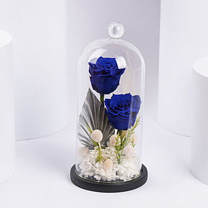 Blue Forever Roses Arrangement: Forever Roses