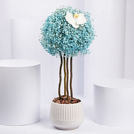 بوكس ورد جوري ودلفينيوم وشوكولاتة - هدية ورد: هدايا ورد وشكولاتة عيد الأم 