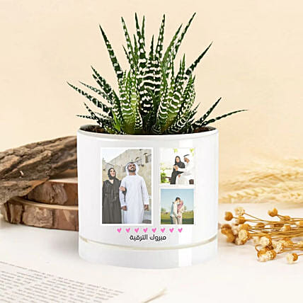 نبتة إيشفيريا لاحتفال الإنجازات: Personalised Planters