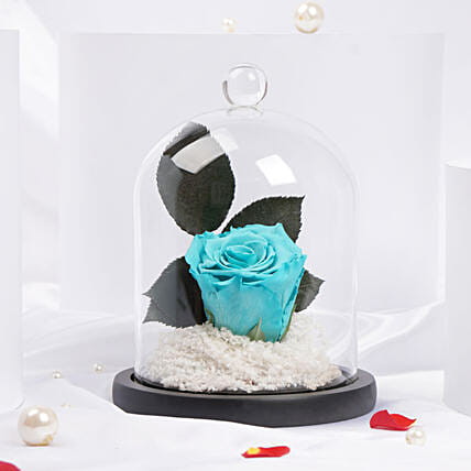 وردة دائمة لعيد الحب: ورد طبيعي دائم اونلاين 