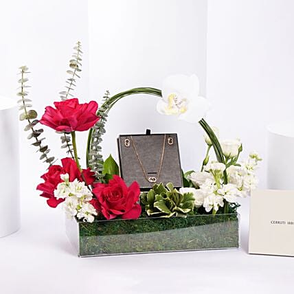 Cerruti 1881 Embellished and Earring For Her: مجوهرات