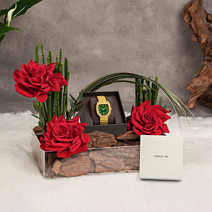 Cerruti 1881 Green Mop Bracelet Watch For Her: Watches for Women