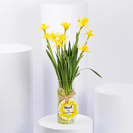 Daffodils Vase Arrangement for Birthday: Flowers