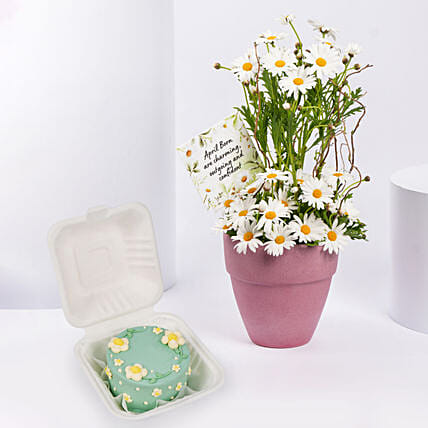 Daisy Theme Bento Cake and Flowers: 