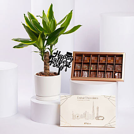 Delight Plant N Chocolate Gift Set Father Day Edition: Gifts for Father