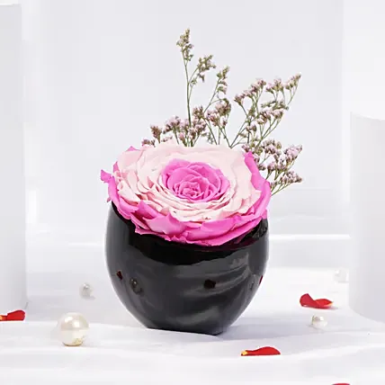Dual Beauty Large Preserved Rose in Premium Base: 