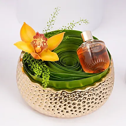 Elie Saab Girl Of Now Edp For Women 90Ml: Perfumes in UAE