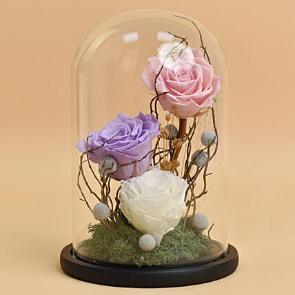 فور ايفر روز 3 ألوان في قبة زجاجية ممتازة: ورد طبيعي دائم اونلاين 