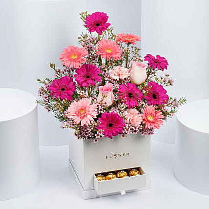 Gerberas Beauty: New Born Flowers