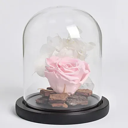 وردة أبدية وردية جميلة: زهور عيد الأم إلى دبي