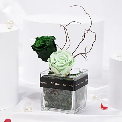 Green Harmony Forever Roses in glass vase: 