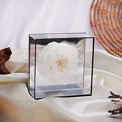 Preserved Peony in Mirror Box: Peonies Flower Bouquets