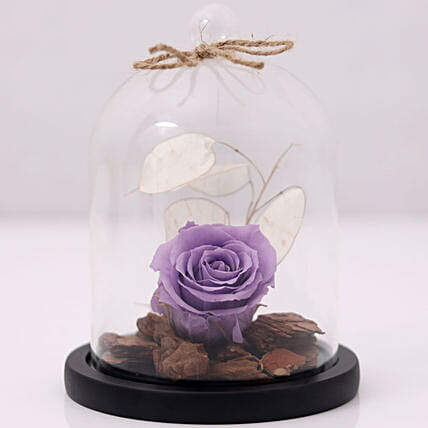 Purple Forever Rose In Glass Dome: Gifts for Mom