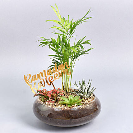 تنسيقة نباتات خضراء مع علامة عيد مبارك ذهبية: تنسيقات نباتات جديدة