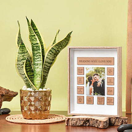 نبات الثعبان الأخضر مع إطار صورة خشبي مخصص مع أسباب الحب : كومبو هدايا عيد زواج سعيد