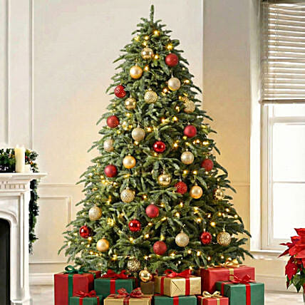 Majestic Us Noblis Fir Christmas Tree 5 To 6 Feet: شجرة كريسماس 