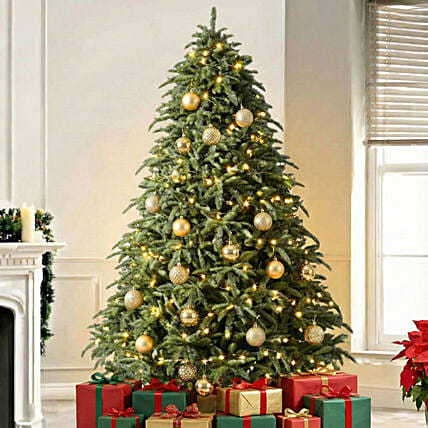 Royal Us Noblis Fir Christmas Tree 5 To 6 Feet: شجرة كريسماس