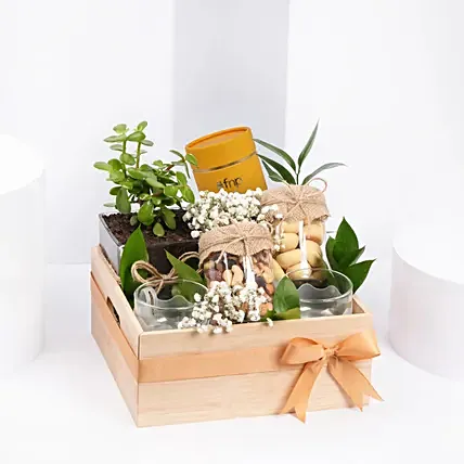 سلة هدايا الشاي والنباتات: طقم هدايا جديدة 