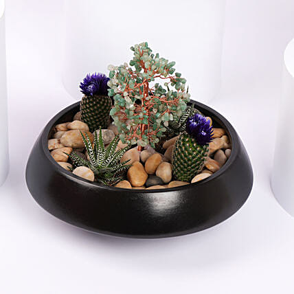 Serene Garden Succulent Planter: Anniversary Plants