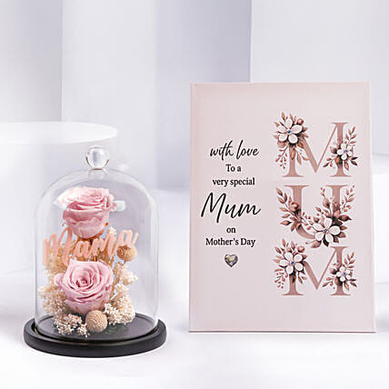 Mothers Day Forever Roses And Frame Combo: 