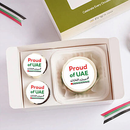 Proud of UAE Bento Cake Box: Uae Pride-gifts
