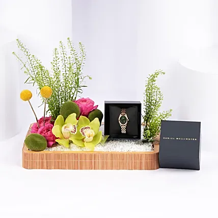 Daniel Wellington Emeral Gold Watch Gift Tray for Her: 