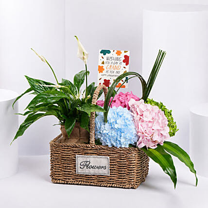 Grandparents Day Wishes Flowers And Plant Basket: Grandparents Day Gifts