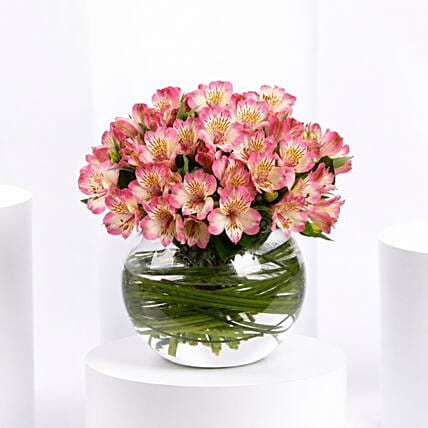 Purple Peruvian Lily Arrangement: 