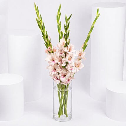 Pink Gladiolus In Premium Vase: 