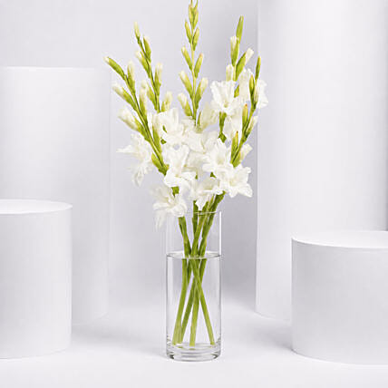 White Gladiolus In Premium Vase: Gladiolus Flowers