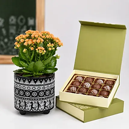 Kalanchoe Plant And Chocolates Combo: Plants Combo 
