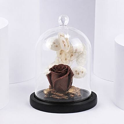 Brown Forever Rose In Glass Dome: 