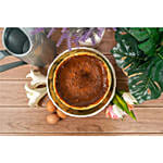 Basque Burnt Cheesecake