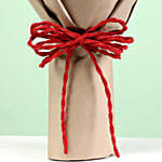 Enigmatic 12 Red Roses Bouquet