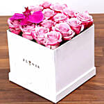 Hues Of Purple And Chocolates