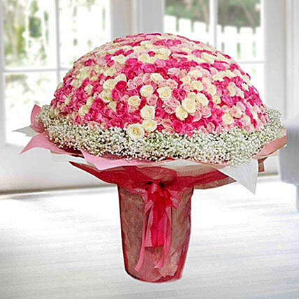 باقة 450 وردة جورية ملونة بيضاء ووردية وجيبسوفيلا: باقة زهور إلى قطر