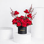 12 Red Roses Box Arrangement