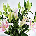 5 Stems Pink Lilies Vase