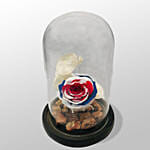 England Flag Forever Rose in Glass Dome