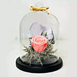 Forever Rose In Glass Dome Pink