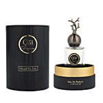 Head To Toe EDP 100 ml from  Q51 Perfumes
