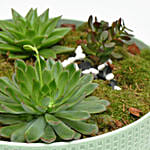 Holy Ramadan Assorted Plant Gift