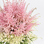 Pink and White Astilbe Beauty Bouquet
