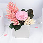 Preserved Pink Radiance | Forever Rose