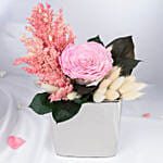 Preserved Pink Radiance | Forever Rose