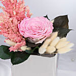 Preserved Pink Radiance | Forever Rose