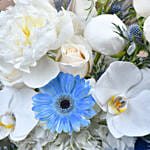 Pretty Roses & Gerberas
