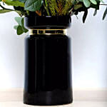 Senorita Roses in a Vase